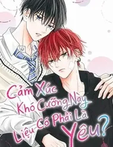 Cảm Xúc Khó Cưỡng Này Liệu Có Phải Là Yêu?