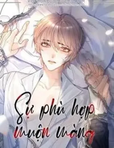 Sự Phù Hợp Muộn Màng