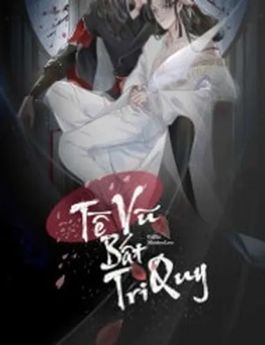 Tế Vũ Bất Tri Quy